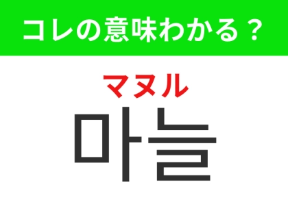 【韓国生活編】韓国料理に欠かせないもの！「마늘（マヌル）」の意味は？