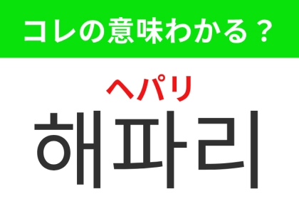 【韓国生活編】触手を伸ばして海を漂う生き物!「해파리(ヘパリ)」の意味は?