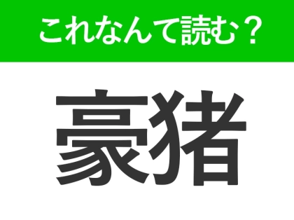 【豪猪】はなんて読む？トゲトゲで可愛い動物の名前