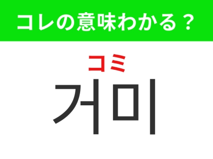 【韓国生活編】8本の脚を持つ虫！「거미（コミ）」の意味は？