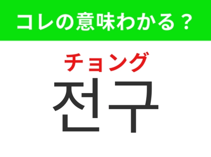 【韓国生活編】どの家庭にも必ずある生活必需品！「전구（チョング）」の意味は？