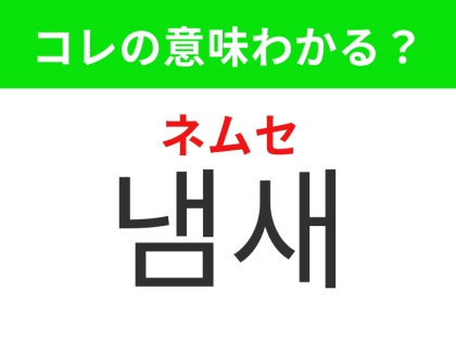 【韓国生活編】鼻で感じるもの！「냄새（ネムセ）」の意味は？