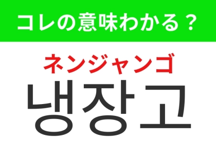 【韓国生活編】どの家庭にもある家電製品！「냉장고（ネンジャンゴ）」の意味は？