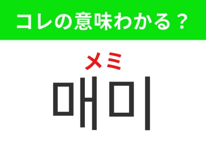 【韓国生活編】夏の暑さを感じさせる鳴き声の虫！「매미（メミ）」の意味は？