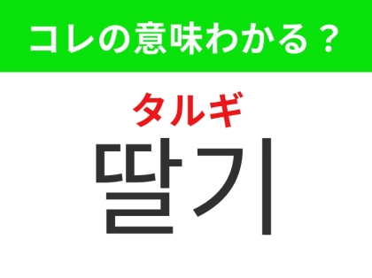 【韓国グルメ編】甘くて赤いフルーツ!「딸기(タルギ)」の意味は?