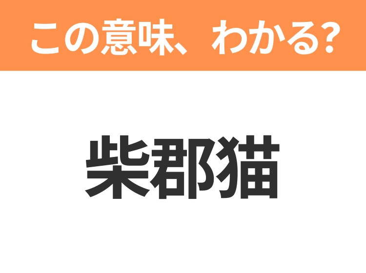 【中国語クイズ】「柴郡猫」は何のキャラクター?ピンク色のしましま模様が特徴の猫!