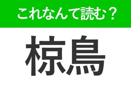 【椋鳥】はなんて読む?くちばしがオレンジ色の鳥です