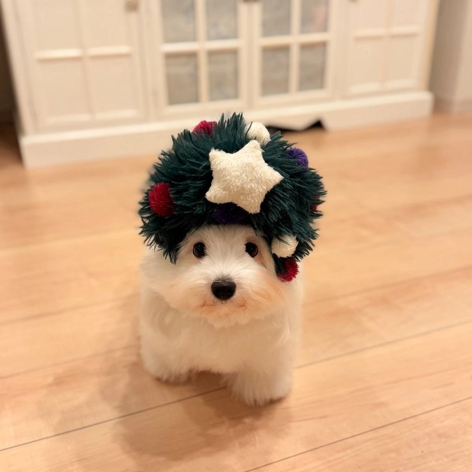 サムネイル画像