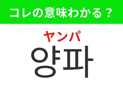 【韓国グルメ編】血液をサラサラにしてくれる野菜！「양파（ヤンパ）」の意味は？