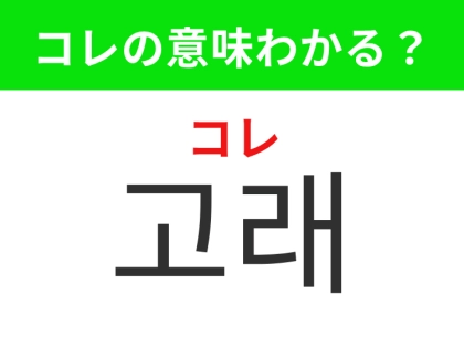 【韓国生活編】海を泳ぐ世界最大級の生き物！「고래（コレ）」の意味は？