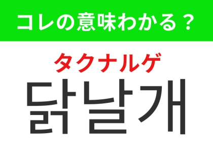 【韓国グルメ編】お酒にも合う鶏肉の人気部位！「닭날개（タクナルゲ）」の意味は？