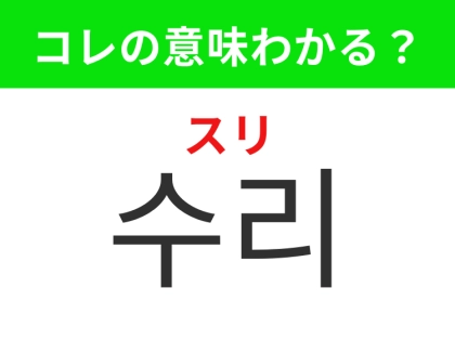 【韓国生活編】不具合を直して使えるようにすること!「수리(スリ)」の意味は?