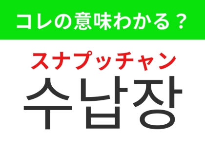 【韓国生活編】どの家庭でも必要なあの家具!「수납장(スナプッチャン)」の意味は?