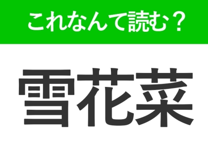 【雪花菜】はなんて読む？有名な食材の別称を表す！