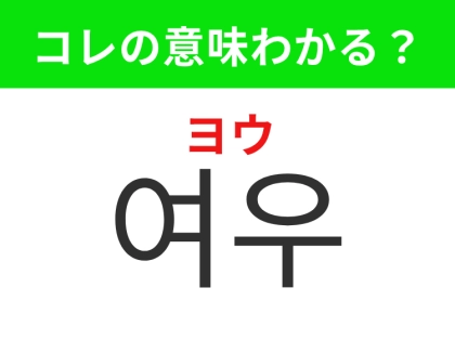 【韓国生活編】赤茶色の毛並みが美しい動物！「여우（ヨウ）」の意味は？