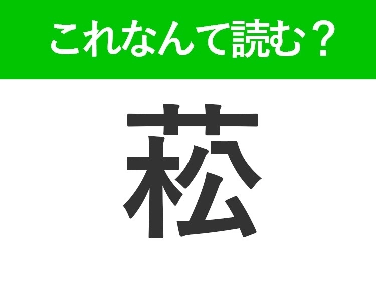 サムネイル画像