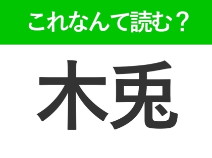 【木兎】はなんて読む?「きうさぎ」ではありません!意外な鳥の名前