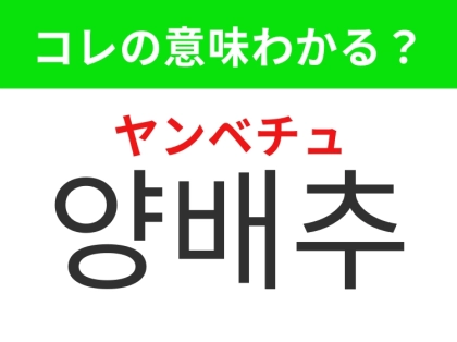 【韓国グルメ編】炒め物やスープで使われる緑野菜！「양배추（ヤンベチュ）」の意味は？