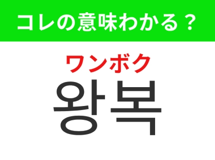【韓国生活編】目的地まで行って戻ってくること!「왕복(ワンボク)」の意味は?