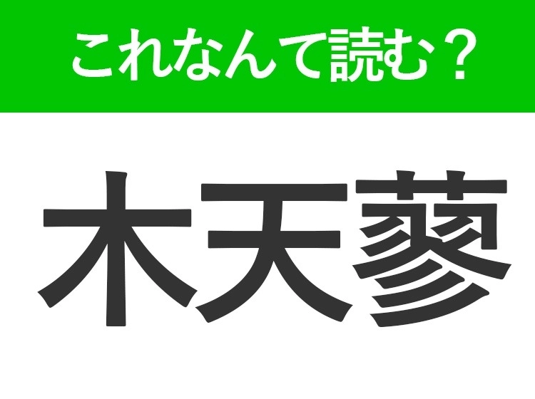 【木天蓼】はなんて読む?猫が大好きな植物の名前!