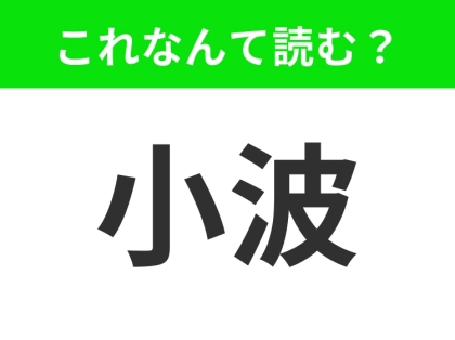 【小波】はなんて読む？「こなみ」と読んだらアウト！