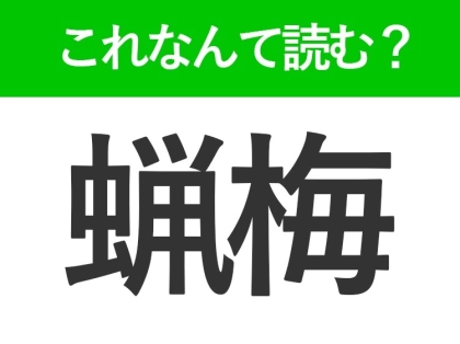 【蝋梅】はなんて読む？黄色い小花が可愛いお花の名前です！