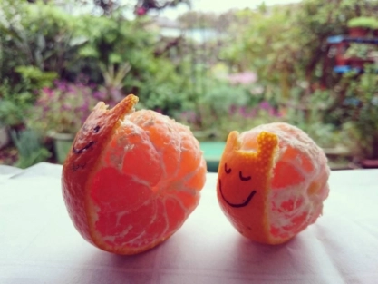 アートな「みかんのむき方」でいろんな生き物の誕生！