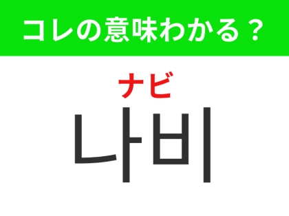【韓国生活編】花の蜜を吸う羽のある虫！「나비（ナビ）」の意味は？