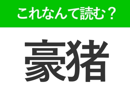 【豪猪】はなんて読む?トゲトゲで可愛い動物の名前