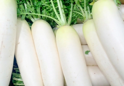 大根の正しい保存方法が知りたい！傷めずに最後まで使い切るポイントは？