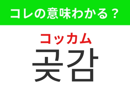 【韓国グルメ編】韓国ならではのヘルシーなあのスイーツ！「곶감（コッカム）」の意味は？