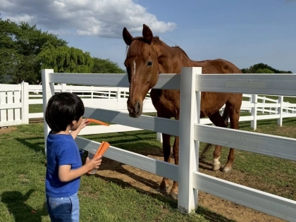 「大好きな紗栄子さんが運営する牧場！」【NASU FARM VILLAGE】保護馬と触れ合って癒されてみませんか♡
