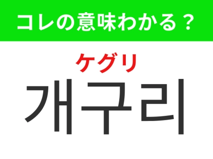 【韓国生活編】雨の日によく見かける生き物！「개구리（ケグリ）」の意味は？