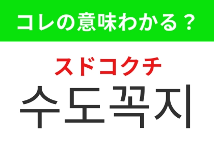 【韓国生活編】キッチンや洗面台にある設備!「수도꼭지(スドコクチ)」の意味は?