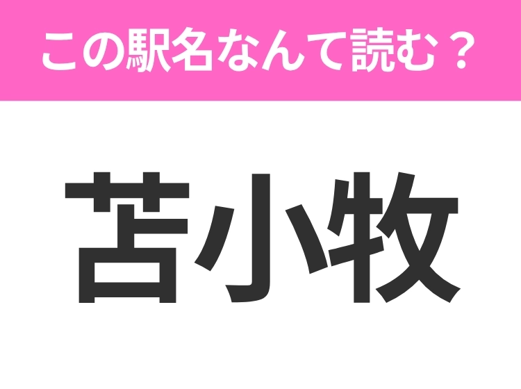 サムネイル画像
