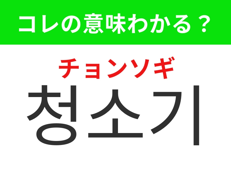 【韓国生活編】覚えておきたいあの言葉！「청소기（チョンソギ）」の意味は？