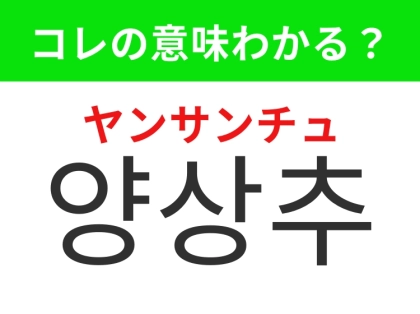【韓国グルメ編】サラダに欠かせない緑の野菜！「양상추（ヤンサンチュ）」の意味は？