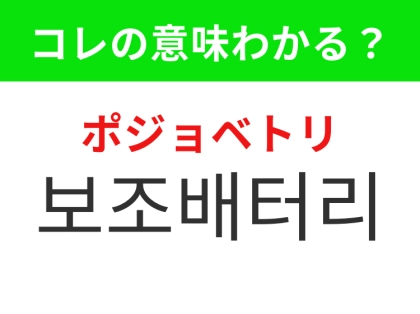 【韓国生活編】外出先で充電できる便利アイテム!「보조배터리(ポジョベトリ)」の意味は?