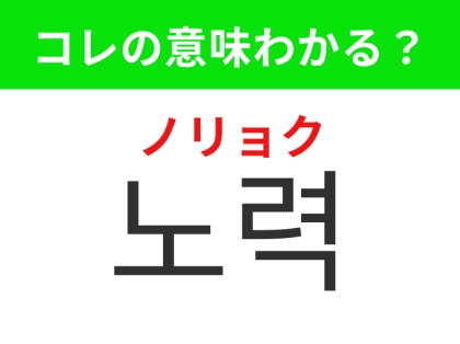 【韓国生活編】夢を叶えるための積み重ね！「노력（ノリョク））」の意味は？