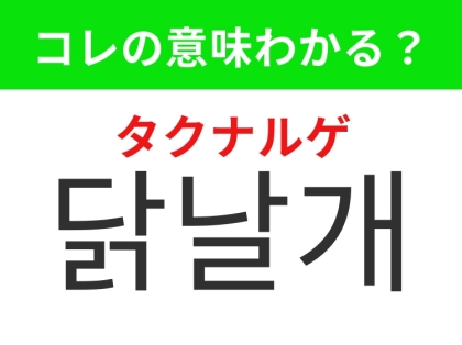 【韓国グルメ編】お酒にも合う鶏肉の人気部位！「닭날개（タクナルゲ）」の意味は？