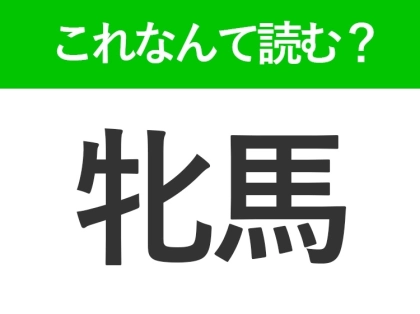 【牝馬】はなんて読む?「めま」「めうま」以外の読み方は