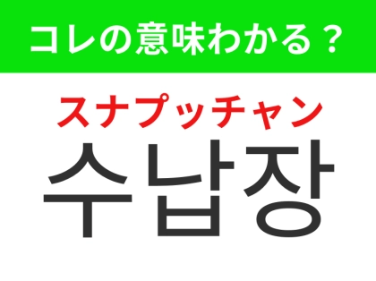 【韓国生活編】どの家庭でも必要なあの家具！「수납장（スナプッチャン）」の意味は？
