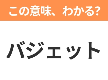 【新社会人は必見！】「バジェット」の意味は？覚えておきたいビジネス用語3連発
