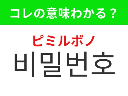 【韓国生活編】アカウントを守るための大切な情報！「비밀번호（ピミルボノ）」の意味は？
