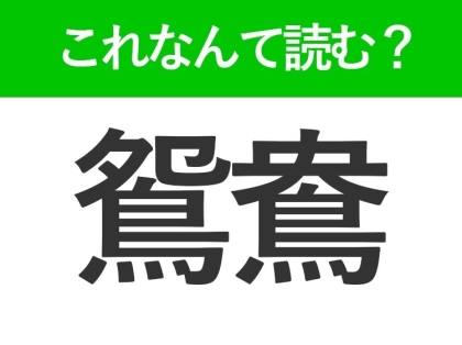 【鴛鴦】はなんて読む?答えは男女の様子を表す鳥の名前です!