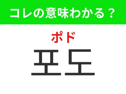 【韓国グルメ編】紫や緑色の小さな粒が集まった果物!「포도(ポド)」の意味は?