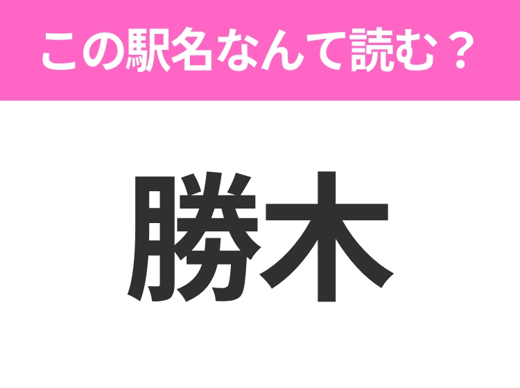 サムネイル画像