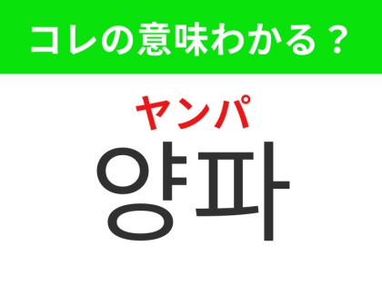 【韓国グルメ編】血液をサラサラにしてくれる野菜！「양파（ヤンパ）」の意味は？