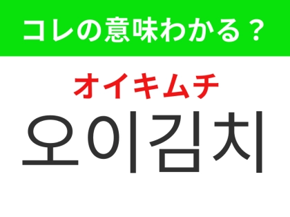 【韓国グルメ編】ダイエットにもおすすめの韓国の代表的発酵食品！「오이김치（オイキムチ）」の意味は？