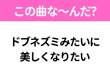 【ヒット曲クイズ】歌詞「ドブネズミみたいに美しくなりたい」で有名な曲は？サビが特徴的なあの名曲！